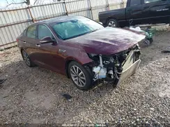 5XXGT4L36KG321304 2019 KIA OPTIMA