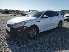 5XXGT4L36KG345599 2019 KIA OPTIMA
