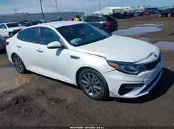 5XXGT4L36KG347689 2019 KIA OPTIMA