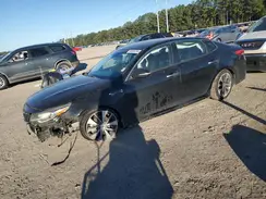 5XXGT4L36KG354402 2019 KIA OPTIMA