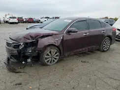 5XXGT4L36KG356537 2019 KIA OPTIMA