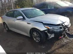 5XXGT4L36KG364007 2019 KIA OPTIMA