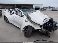 5XXGT4L36KG365657 2019 KIA OPTIMA