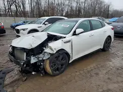5XXGT4L36KG373077 2019 KIA OPTIMA