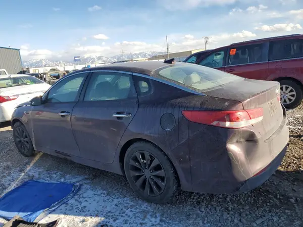 5XXGT4L37GG007314 2016 KIA OPTIMA - Image 2
