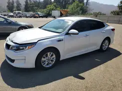 5XXGT4L37GG052561 2016 KIA OPTIMA