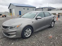 5XXGT4L37GG071904 2016 KIA OPTIMA