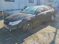 5XXGT4L37GG117781 2016 KIA OPTIMA