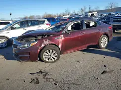 5XXGT4L37JG270247 2025 KIA OPTIMA