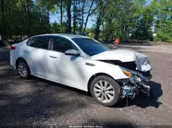 5XXGT4L37KG344350 2019 KIA OPTIMA