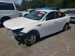 5XXGT4L37KG355901 2019 KIA OPTIMA