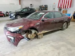 5XXGT4L37LG402491 2020 KIA OPTIMA