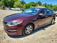 5XXGT4L38GG020007 2016 KIA OPTIMA