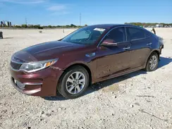 5XXGT4L38GG028835 2016 KIA OPTIMA