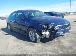 5XXGT4L38GG036496 2016 KIA OPTIMA