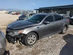 5XXGT4L38GG055355 2016 KIA OPTIMA