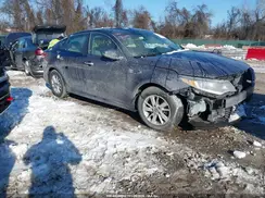5XXGT4L38GG121113 2016 KIA OPTIMA