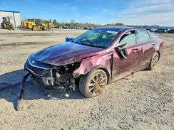 5XXGT4L38KG298186 2019 KIA OPTIMA