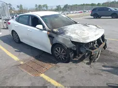 5XXGT4L38KG346589 2019 KIA OPTIMA