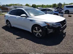 5XXGT4L38KG366261 2019 KIA OPTIMA