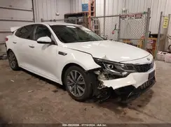 5XXGT4L38KG369502 2019 KIA OPTIMA