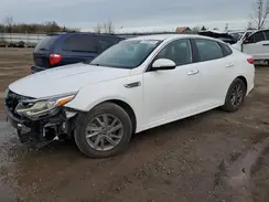 5XXGT4L38LG434379 2020 KIA OPTIMA