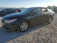 5XXGT4L39GG030884 2016 KIA OPTIMA