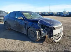 5XXGT4L39GG091023 2016 KIA OPTIMA