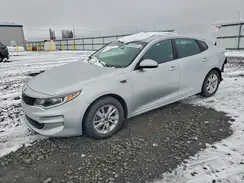 5XXGT4L39GG117894 2016 KIA OPTIMA