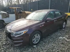 5XXGT4L3XGG023586 2016 KIA OPTIMA