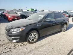 5XXGT4L3XGG078295 2016 KIA OPTIMA