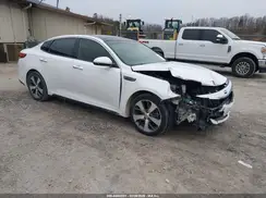 5XXGT4L3XKG291188 2019 KIA OPTIMA