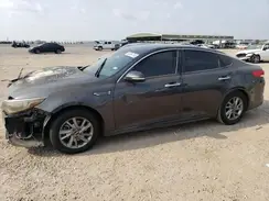 5XXGT4L3XKG293295 2019 KIA OPTIMA