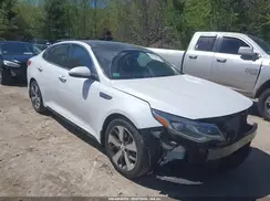 5XXGT4L3XKG369047 2019 KIA OPTIMA