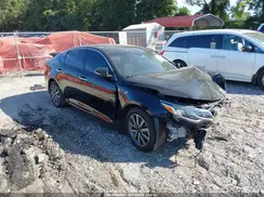 5XXGU4L10KG336523 2019 KIA OPTIMA