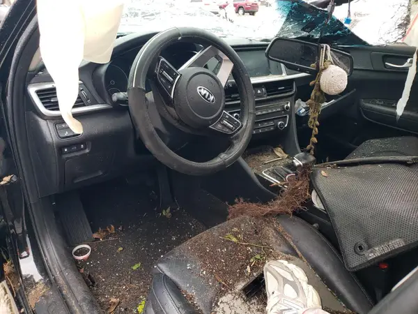 5XXGU4L10LG395332 2020 KIA OPTIMA - Image 8
