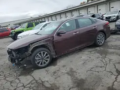 5XXGU4L10LG439443 2020 KIA OPTIMA