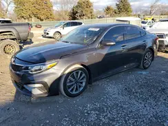 5XXGU4L12KG305225 2019 KIA OPTIMA