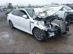 5XXGU4L12KG338564 2019 KIA OPTIMA