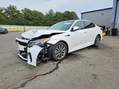 5XXGU4L14KG343877 2019 KIA OPTIMA