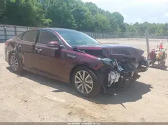 5XXGU4L14KG353356 2019 KIA OPTIMA