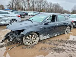 5XXGU4L15KG372496 2019 KIA OPTIMA