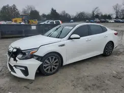 5XXGU4L16KG309200 2019 KIA OPTIMA