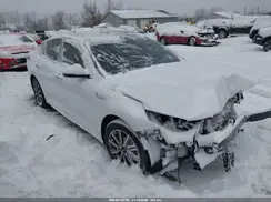 5XXGU4L16KG344920 2019 KIA OPTIMA