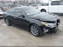 5XXGU4L17KG302207 2019 KIA OPTIMA