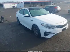 5XXGU4L17KG334445 2019 KIA OPTIMA