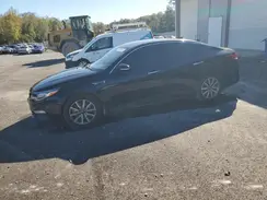 5XXGU4L17KG344053 2019 KIA OPTIMA