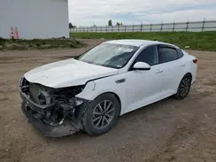 5XXGU4L17KG373875 2019 KIA OPTIMA
