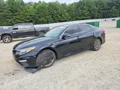 5XXGU4L18KG304029 2019 KIA OPTIMA