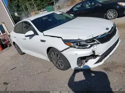 5XXGU4L18KG367406 2019 KIA OPTIMA
